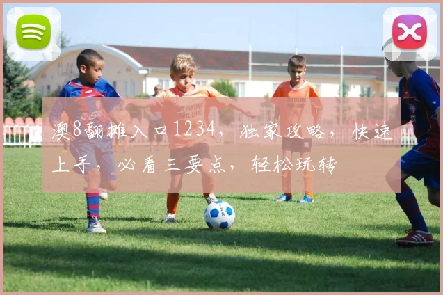 澳8翻摊入口1234，独家攻略，快速上手，必看三要点，轻松玩转