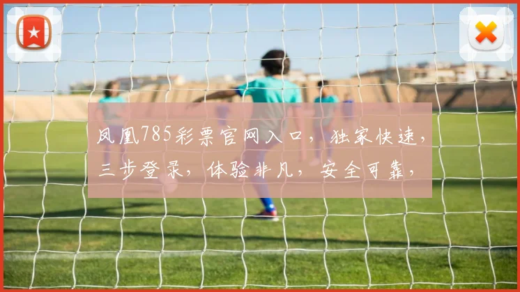 凤凰785彩票官网入口，独家快速，三步登录，体验非凡，安全可靠，玩彩首选