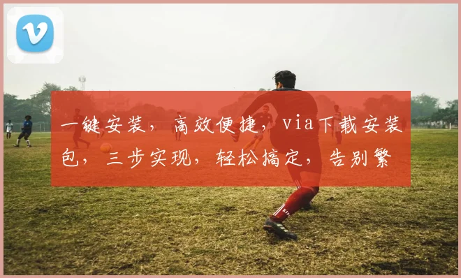 一键安装，高效便捷，via下载安装包，三步实现，轻松搞定，告别繁琐操作，