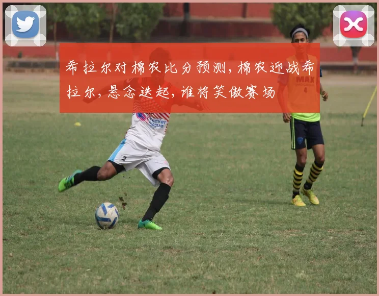 希拉尔对棉农比分预测,棉农迎战希拉尔,悬念迭起,谁将笑傲赛场