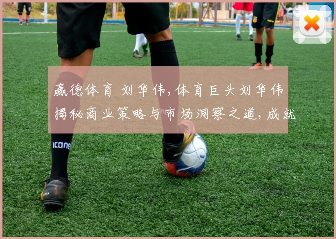 赢德体育 刘华伟,体育巨头刘华伟揭秘商业策略与市场洞察之道,成就辉煌