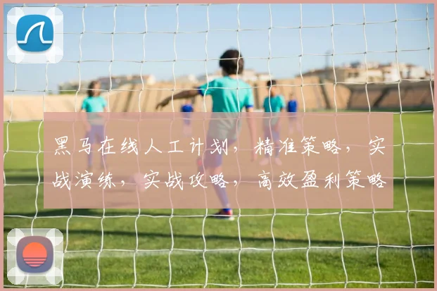 黑马在线人工计划，精准策略，实战演练，实战攻略，高效盈利策略，三步掌握