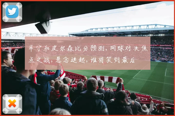 辛宁和皮尔森比分预测,网球对决焦点之战,悬念迭起,谁将笑到最后
